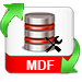 Repair MDF File