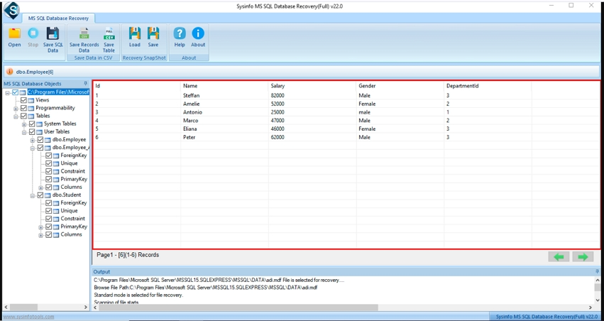 Preview the database content and select the required database objects.
